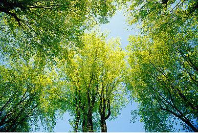 KK官方对战平台爆图《重返战法牧》新职业上线 神秘盗贼，暗夜王者！